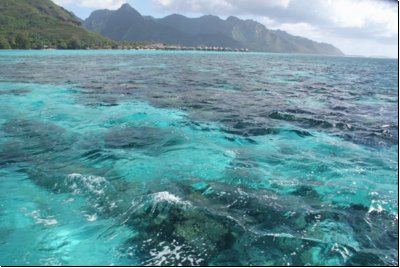 moorea2009bild036.jpg