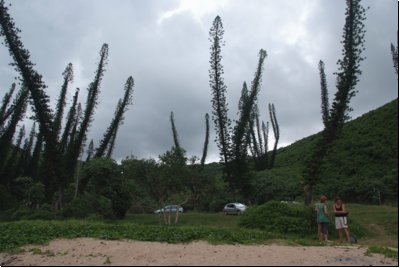 neukaledonien2009bild029.jpg