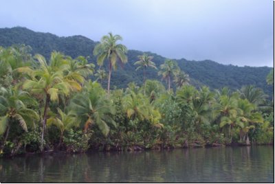 raiatea2009bild022.jpg