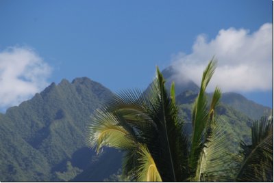 tahiti2009bild022.jpg