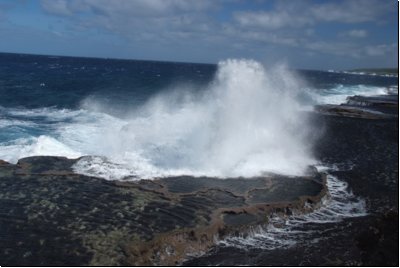 tonga2009bild036.jpg