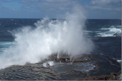 tonga2009bild043.jpg