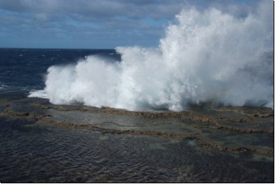 tonga2009bild051.jpg