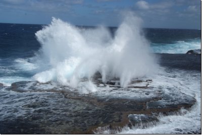 tonga2009bild052.jpg