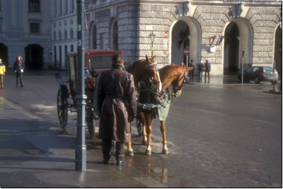 wien2007bild002.jpg