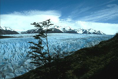 bild_gross_chile_019.jpg