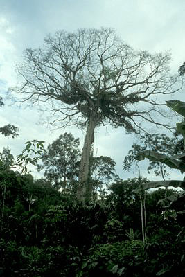bild_gross_ecuador_022.jpg