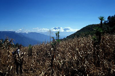 bild_gross_guatemala_011.jpg