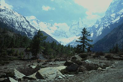 bild_gross_nepal_023.jpg