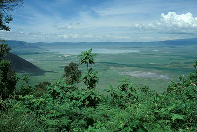 bild_gross_tanzania_018.jpg
