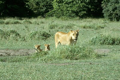 bild_gross_tanzania_028.jpg